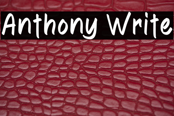 Anthony Write Example 2