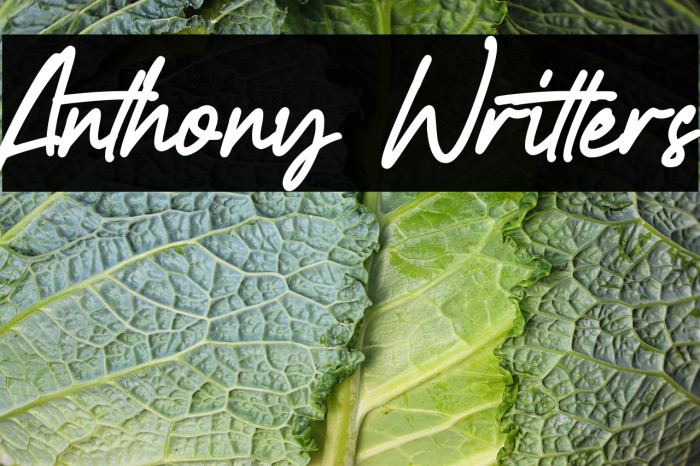 Anthony Writters Example 2