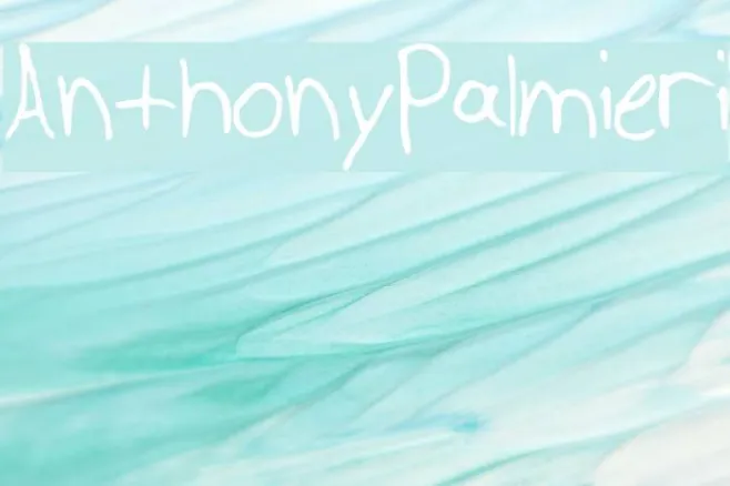 AnthonyPalmieri Example 1