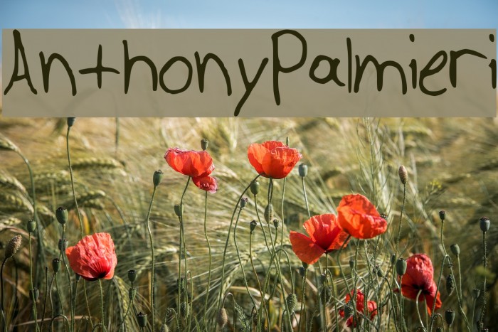 AnthonyPalmieri Font examples
