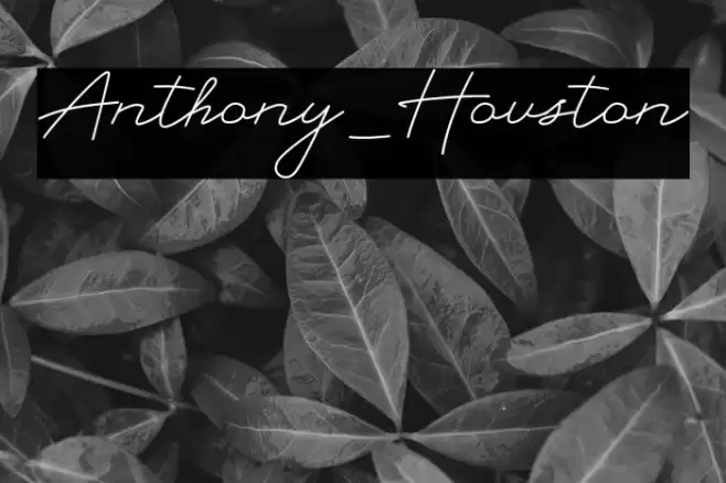 Anthony_Houston Font examples