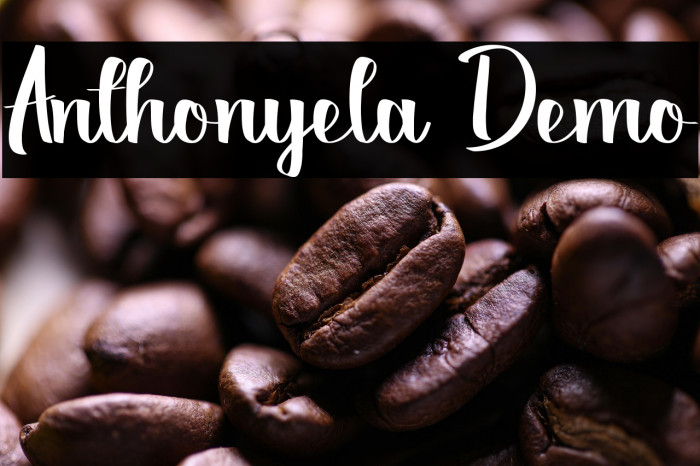 Anthonyela Demo Example 1