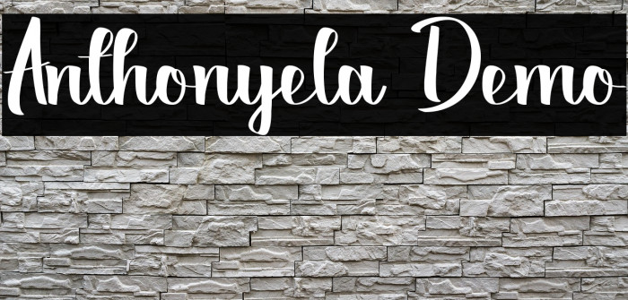 Anthonyela Demo Example 2