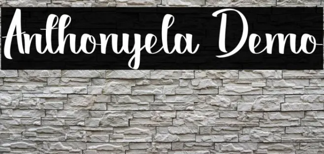 Anthonyela Demo Example 2