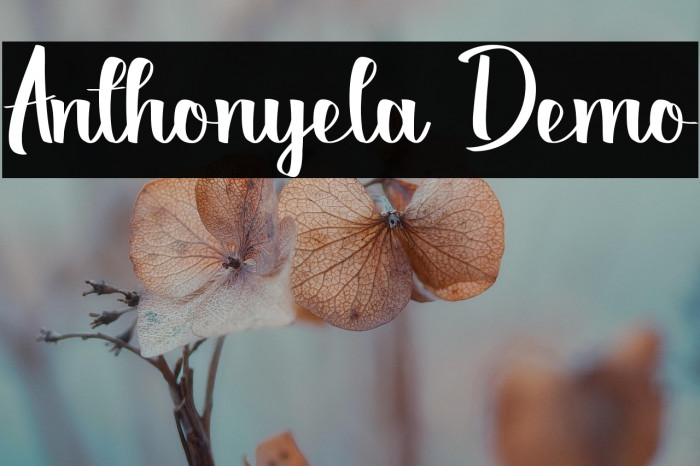 Anthonyela Demo Example 3