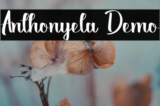 Anthonyela Demo Example 3