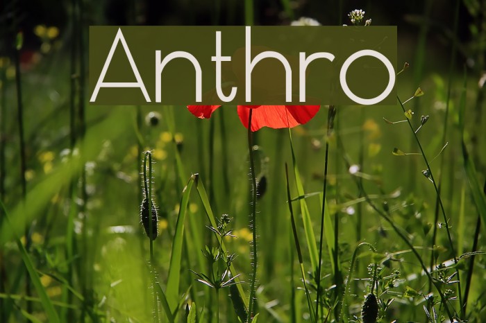 Anthro Font examples