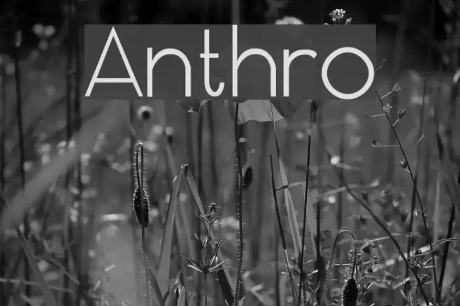 Anthro Font examples
