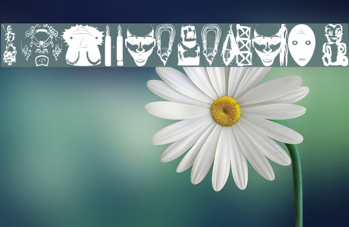 AnthropolTraces Example 2