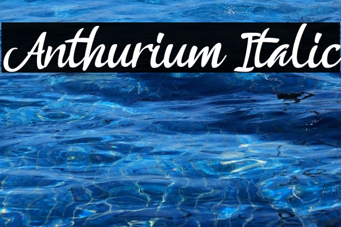 Anthurium Italic Example 1