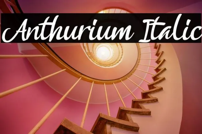 Anthurium Italic Example 3