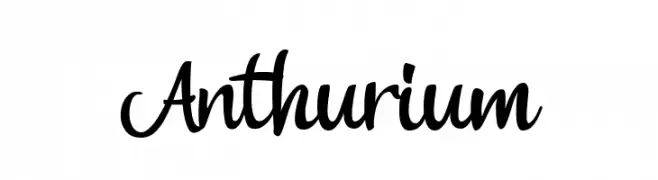 Anthurium  フリーフォントのダウンロード