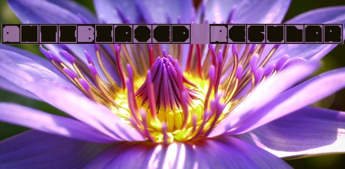 Anti-Biased Regular Example 2