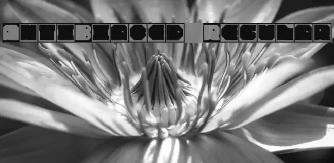 Anti-Biased Regular Font examples