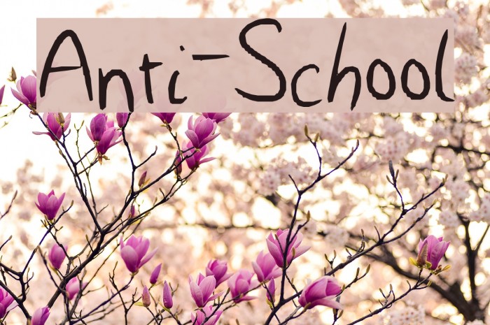 Anti-School Font examples