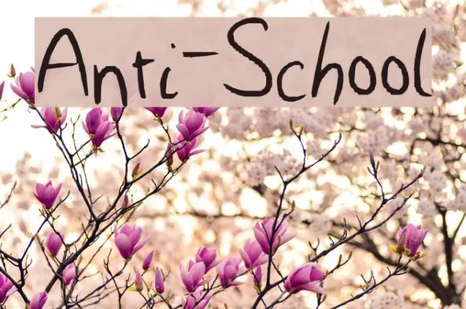 Anti-School Example 3