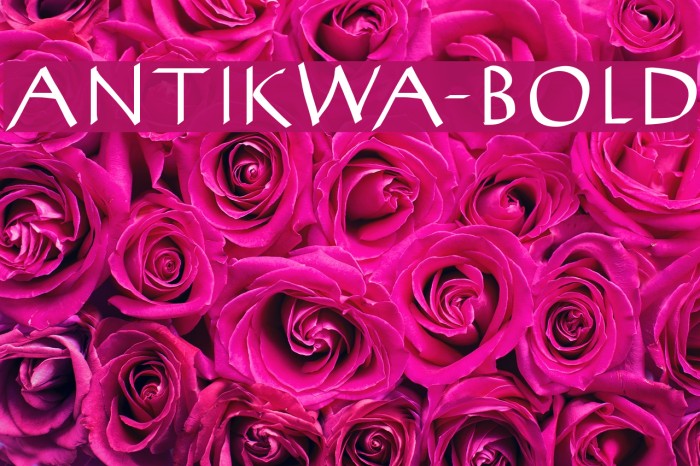 AntiKwa-Bold Example 1