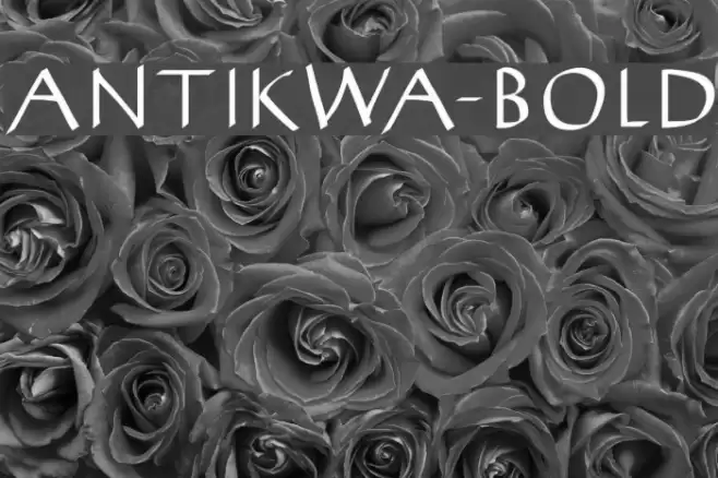 AntiKwa-Bold Font examples