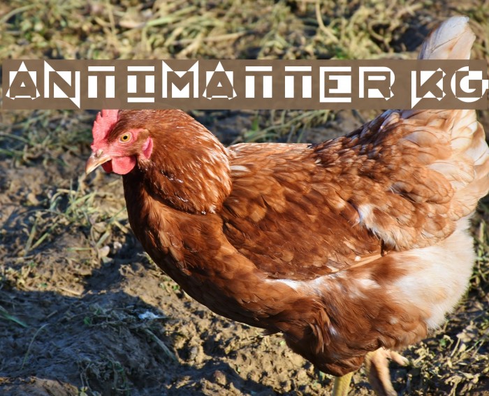 AntiMatter KG Шрифта examples