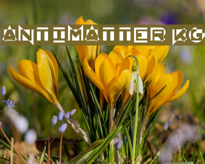 AntiMatter KG Шрифта examples