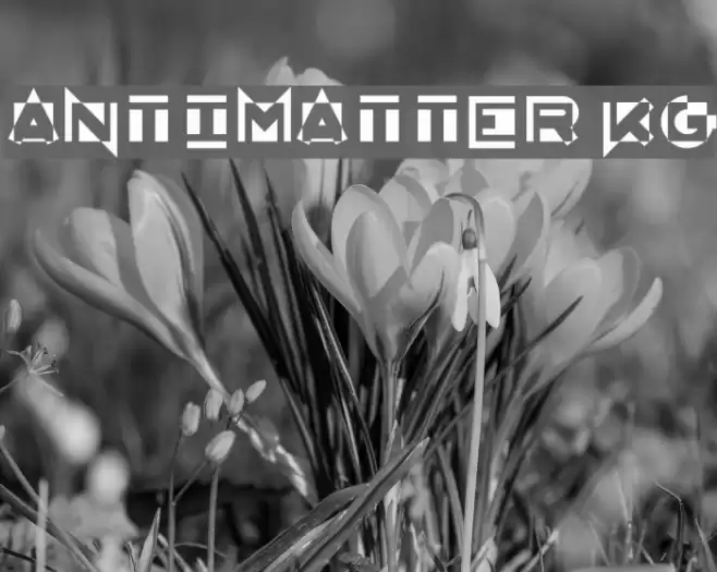 AntiMatter KG Font examples