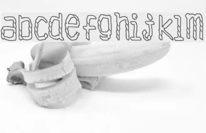 Antibiotech Fonte examples
