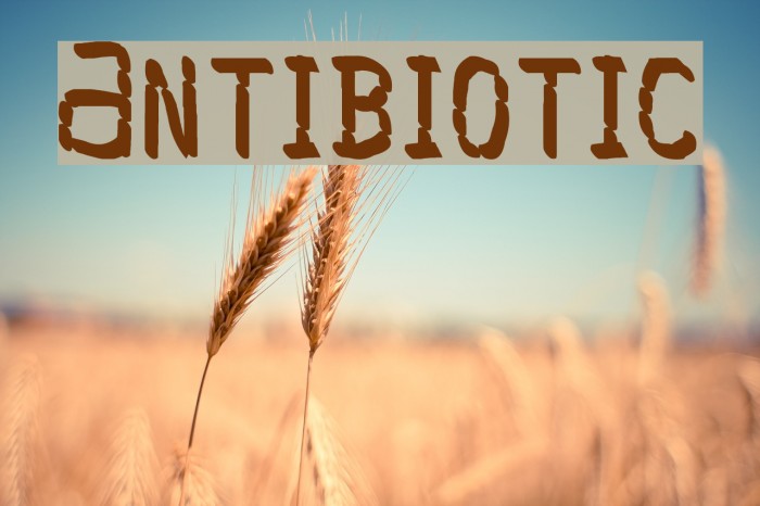 Antibiotic Font examples