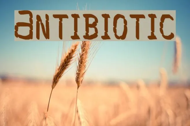 Antibiotic Example 1