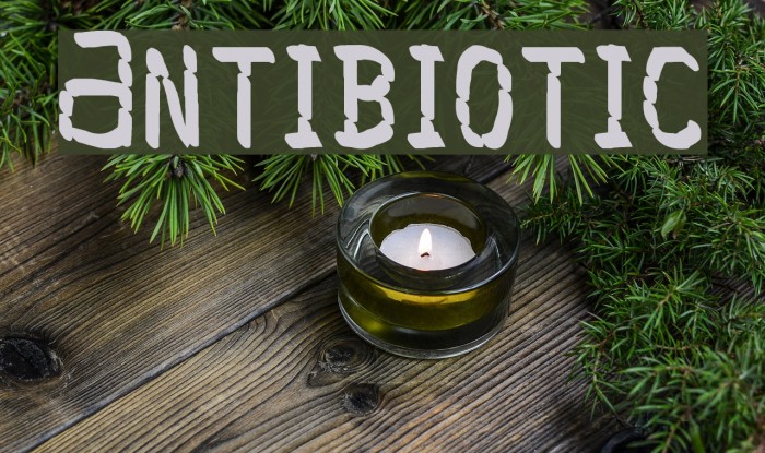 Antibiotic Font examples