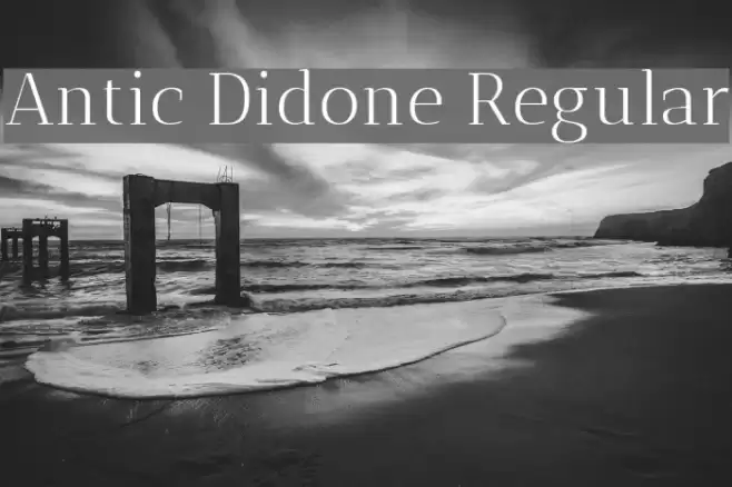 Antic Didone Regular Font examples