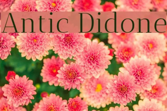 Antic Didone Example 2