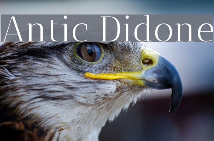 Antic Didone Font examples