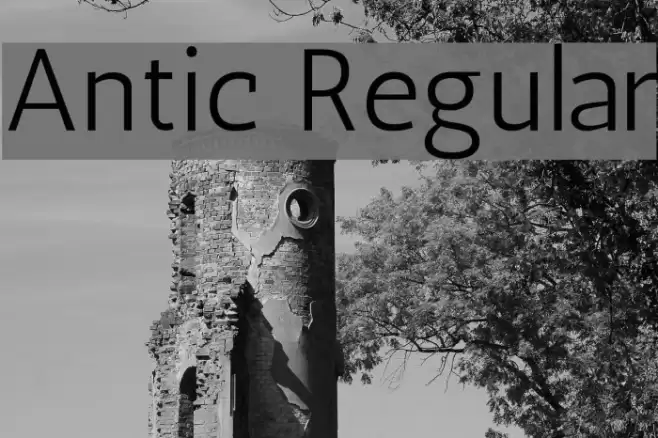 Antic Regular Font examples