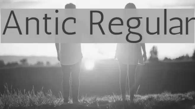 Antic Regular Font examples