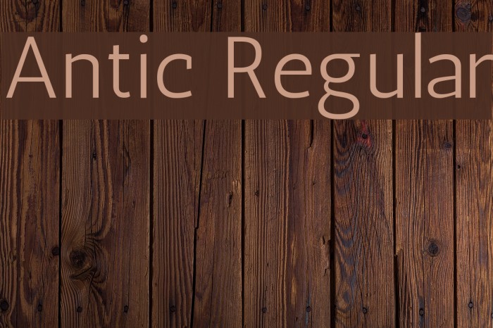 Antic Regular Font examples
