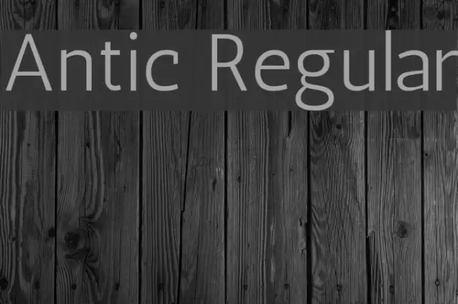 Antic Regular Font examples