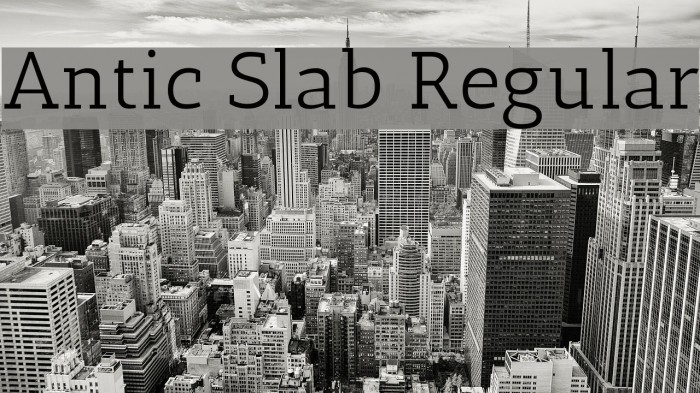 Antic Slab Regular Font examples