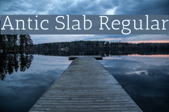 Antic Slab Regular Font examples