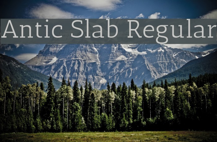 Antic Slab Regular Font examples