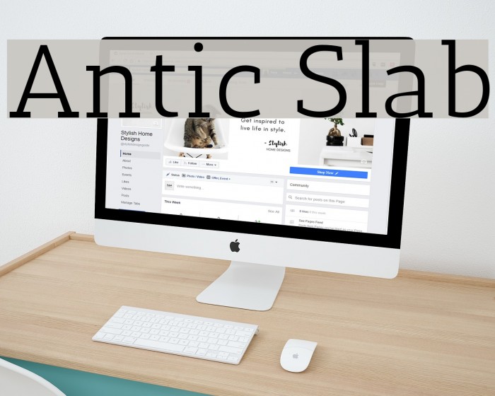 Antic Slab Font examples