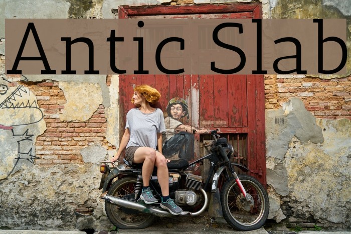 Antic Slab Font examples