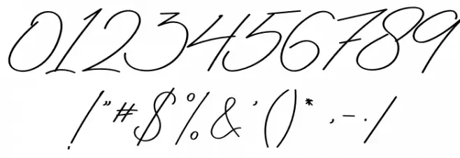 Antica Signature Font OTHER CHARS