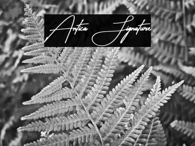 Antica Signature Font examples