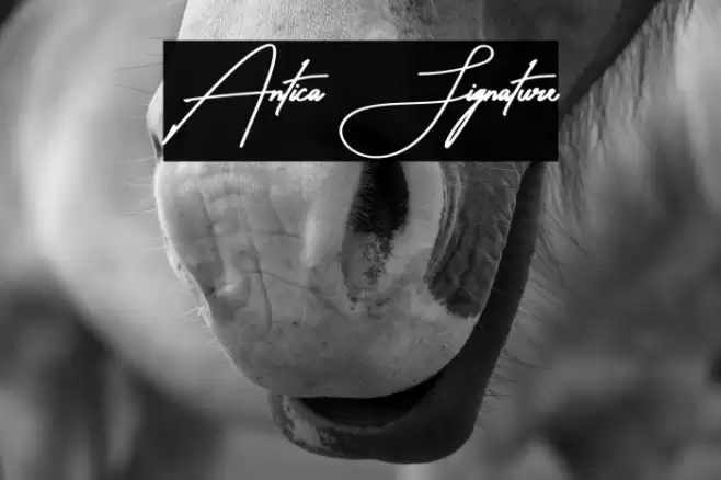 Antica Signature Font examples