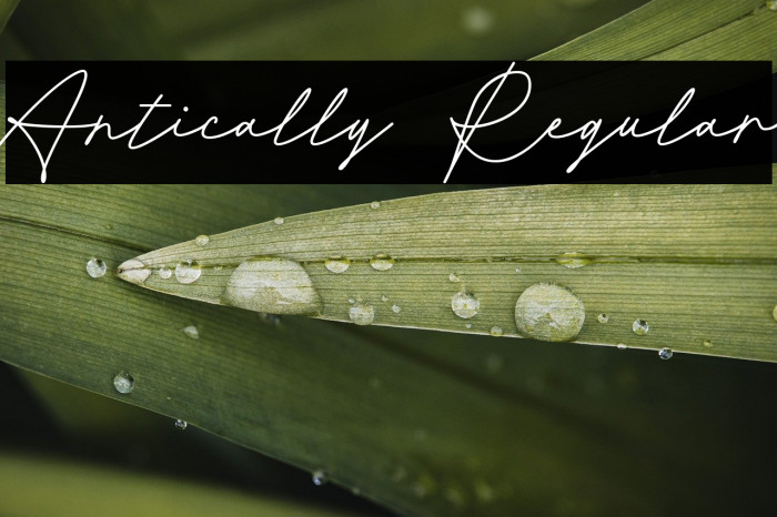 Antically Regular Example 1