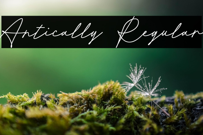 Antically Regular Example 2