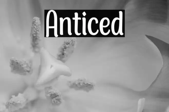 Anticed Font examples