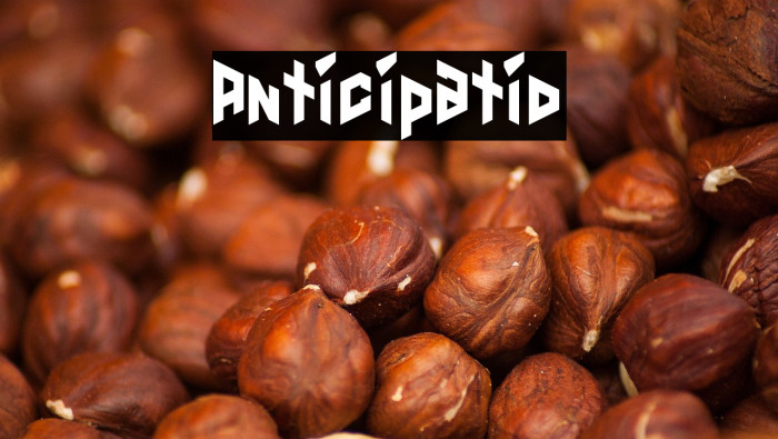 Anticipatio Example 1