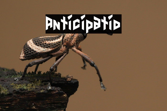 Anticipatio Example 2