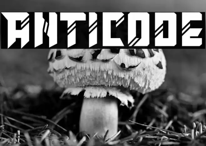 Anticode Font examples